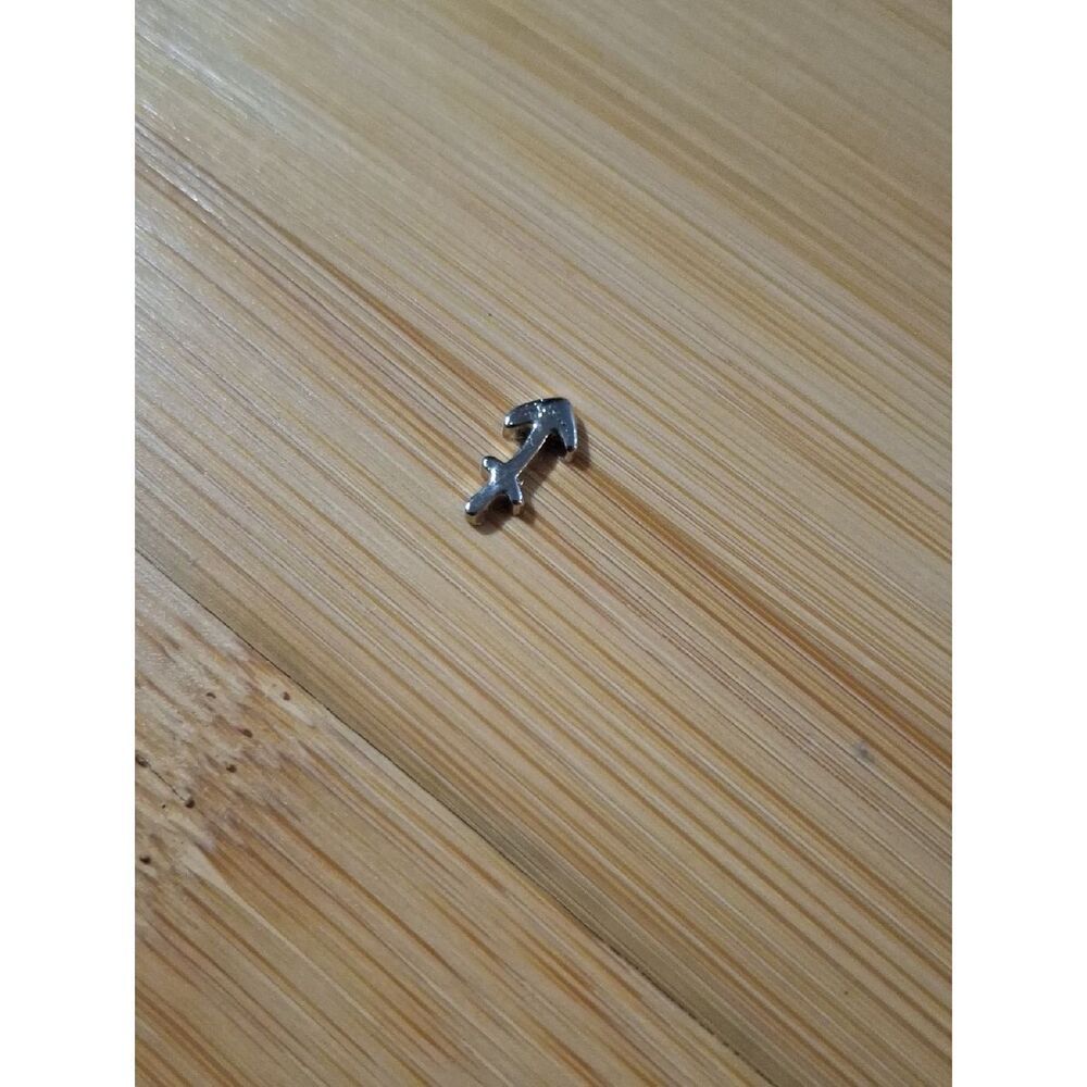 Sagittarius ♐️ Charm For Floating Lockets